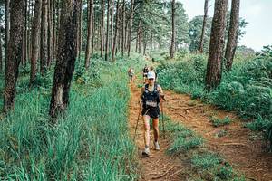 BIB: 
                            <button type="button" onclick="openModal(25655140)" class="btn btn-primary btn-sm float-right btn-popup" data-toggle="modal" data-target=".modal-high-quality">
                        <i class="fas fa-shopping-cart"></i> Add to Cart
                    </button>
                                            <button type="button" onclick="isThisMe(25655140, true)" class="btn btn-success btn-sm float-right btn-popup btn-isme hidden" data-toggle="tooltip" data-placement="bottom" title="นี่คือรูปของคุณใช่ไหม คลิกที่นี่เพื่อเอาเข้าอัลบั้ม">
                        <i class="fas fa-plus"></i> Add to album
                    </button>
                    <button type="button" onclick="isThisMe(25655140, false)" class="btn btn-warning btn-sm float-right btn-popup btn-isnotme hidden">
                        <i class="fas fa-ban"></i> Remove from album
                    </button>